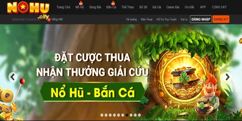 Những vấn đề thường gặp khi đăng nhập nohu